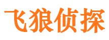 内丘市婚姻出轨调查